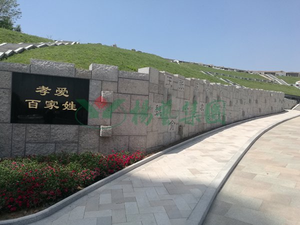 1-2202140RSIY 博天堂·918-官方网站|真人游戏品牌