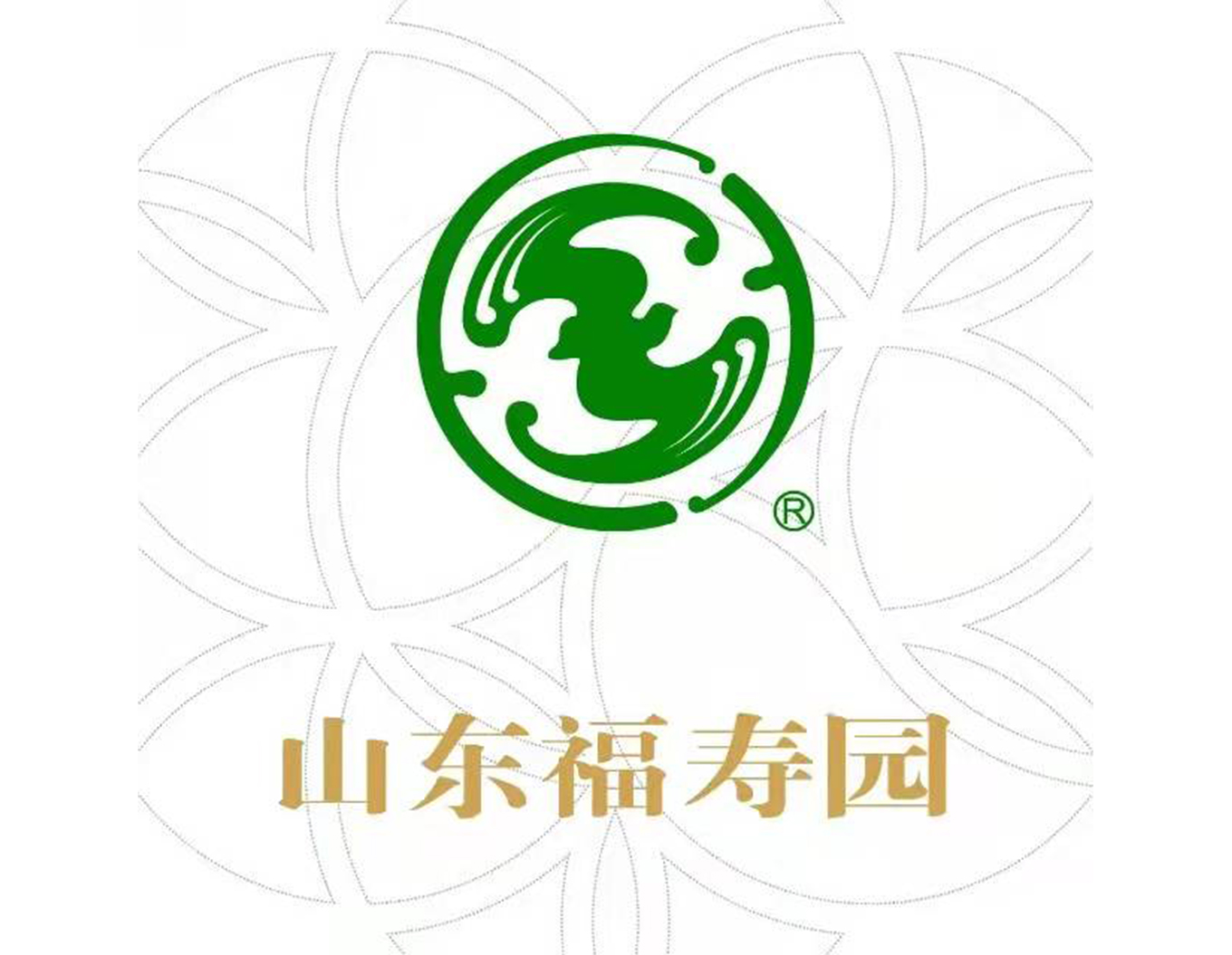 1-21121Q3231E50 博天堂·918-官方网站|真人游戏品牌