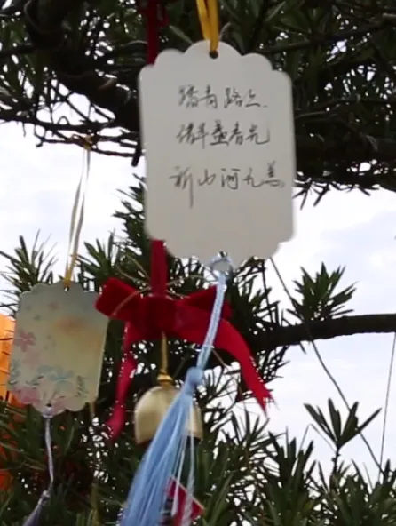 1-240405105614100 博天堂·918-官方网站|真人游戏品牌
