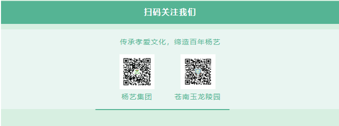 1-240405105F4637 博天堂·918-官方网站|真人游戏品牌