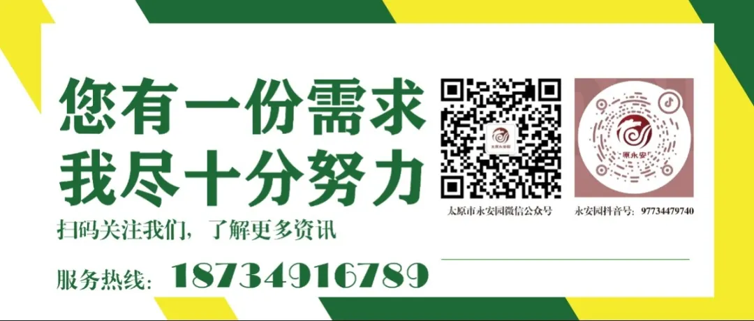 博天堂·918-官方网站|真人游戏品牌