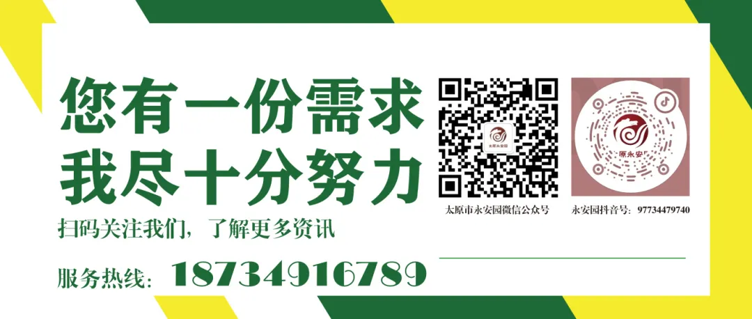 博天堂·918-官方网站|真人游戏品牌