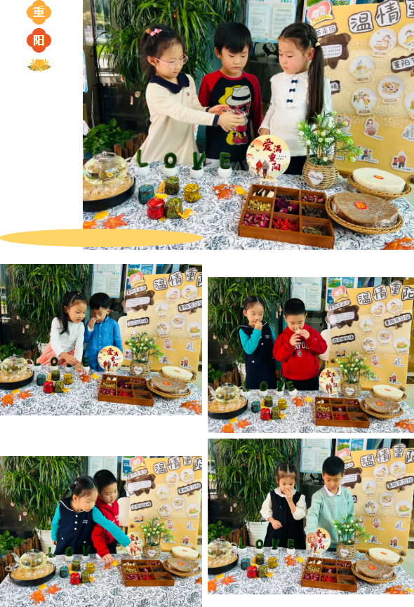 1-2510300Q530509 博天堂·918-官方网站|真人游戏品牌