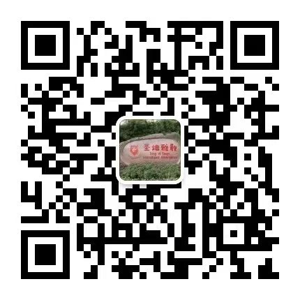 1-2510300R05G38 博天堂·918-官方网站|真人游戏品牌