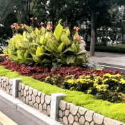 无机仿真石花箱：以永恒之名，塑未来之境