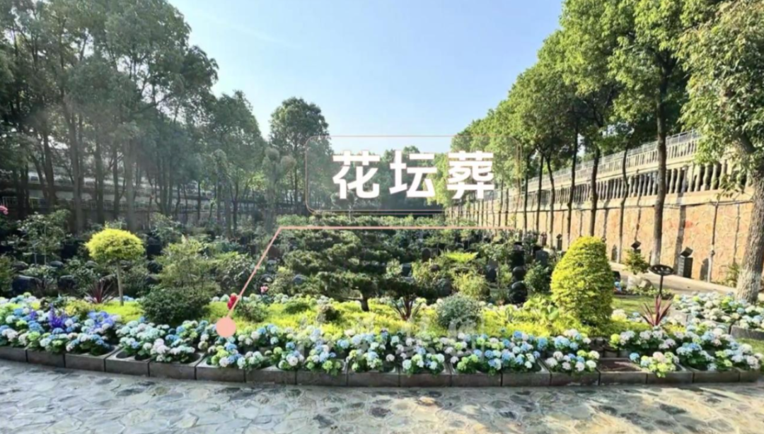 博天堂·918-官方网站|真人游戏品牌