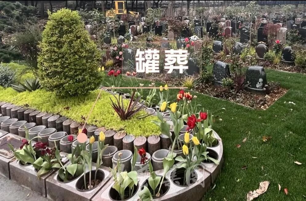 博天堂·918-官方网站|真人游戏品牌