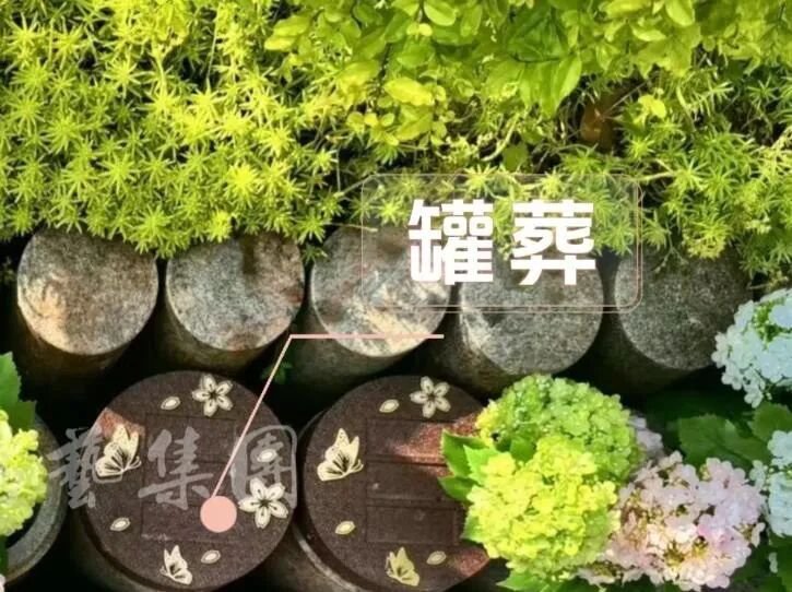 博天堂·918-官方网站|真人游戏品牌